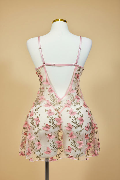 Butterfly Blush